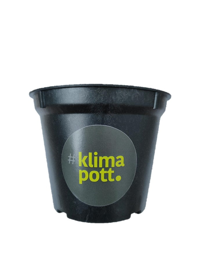 klimapott - abbaubarer Pflanztopf 9cm
