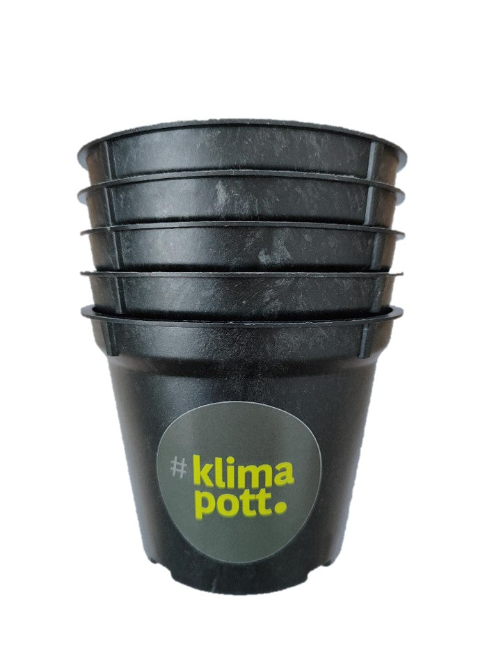 klimapott - abbaubarer Pflanztopf 9cm
