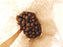 klimafarmer® Seedballs »Bienenpralinen«